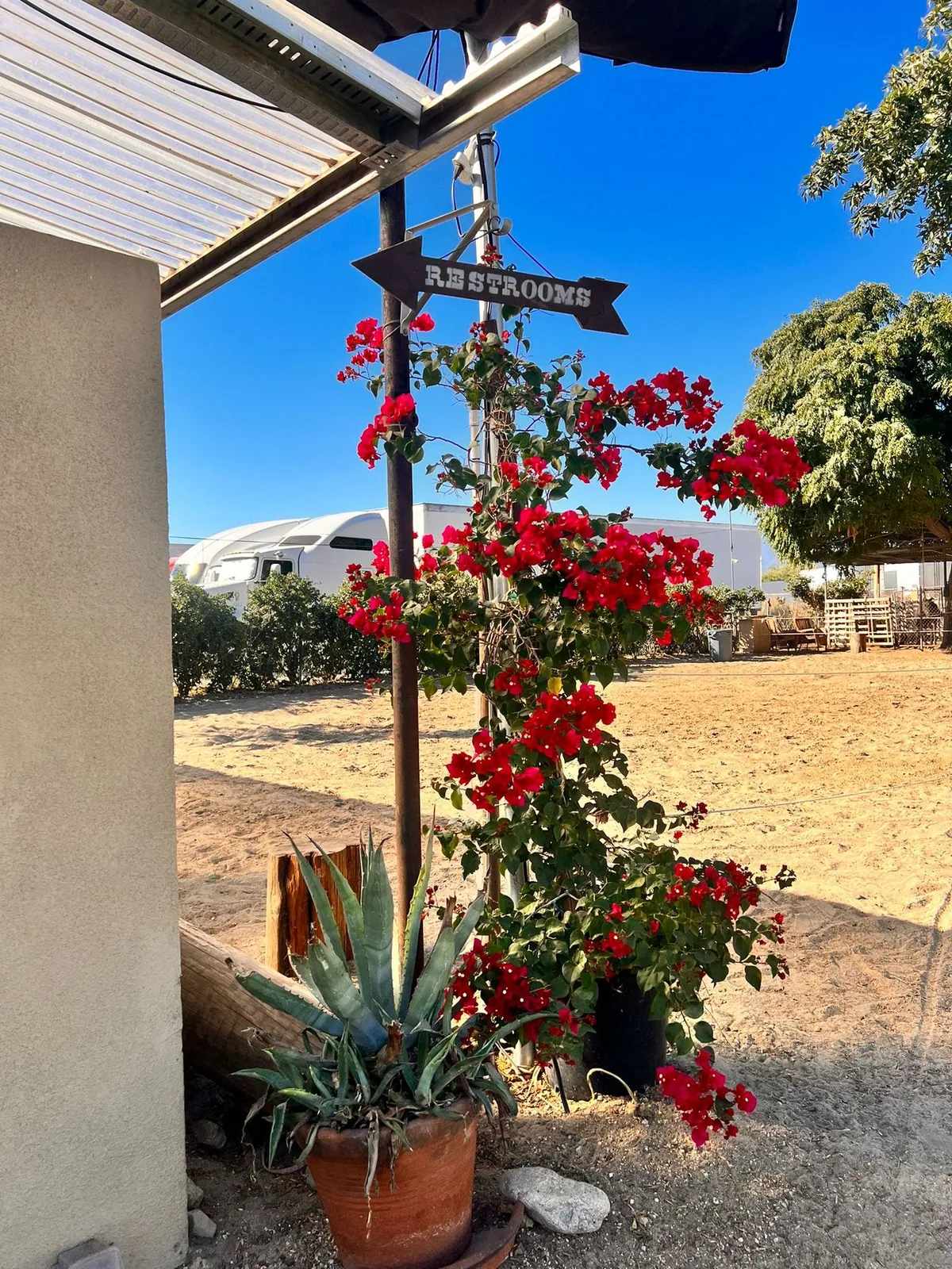 Flowering courtyard walkway — Rancho Lagunas outdoor ranch event venue in Bloomington, California